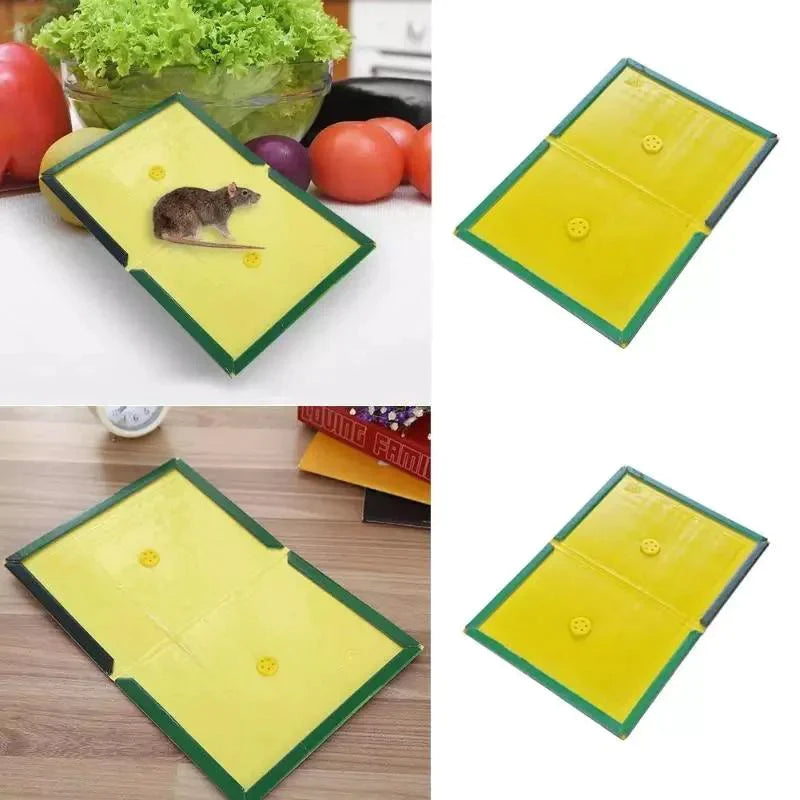 2 Pc Mouse Glue Traps Expert Catch